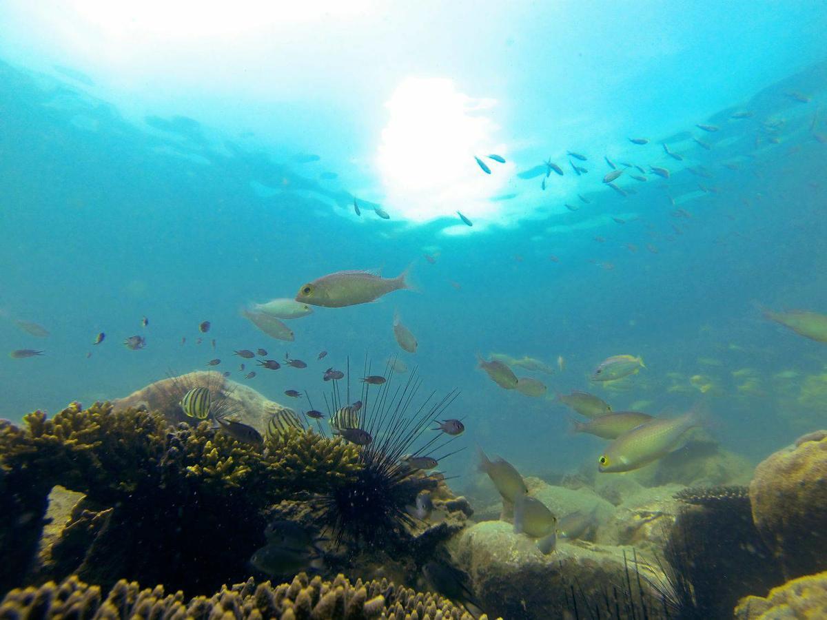 Green Blue Beach Hostel Đảo Koh Rong Samloem Ngoại thất bức ảnh